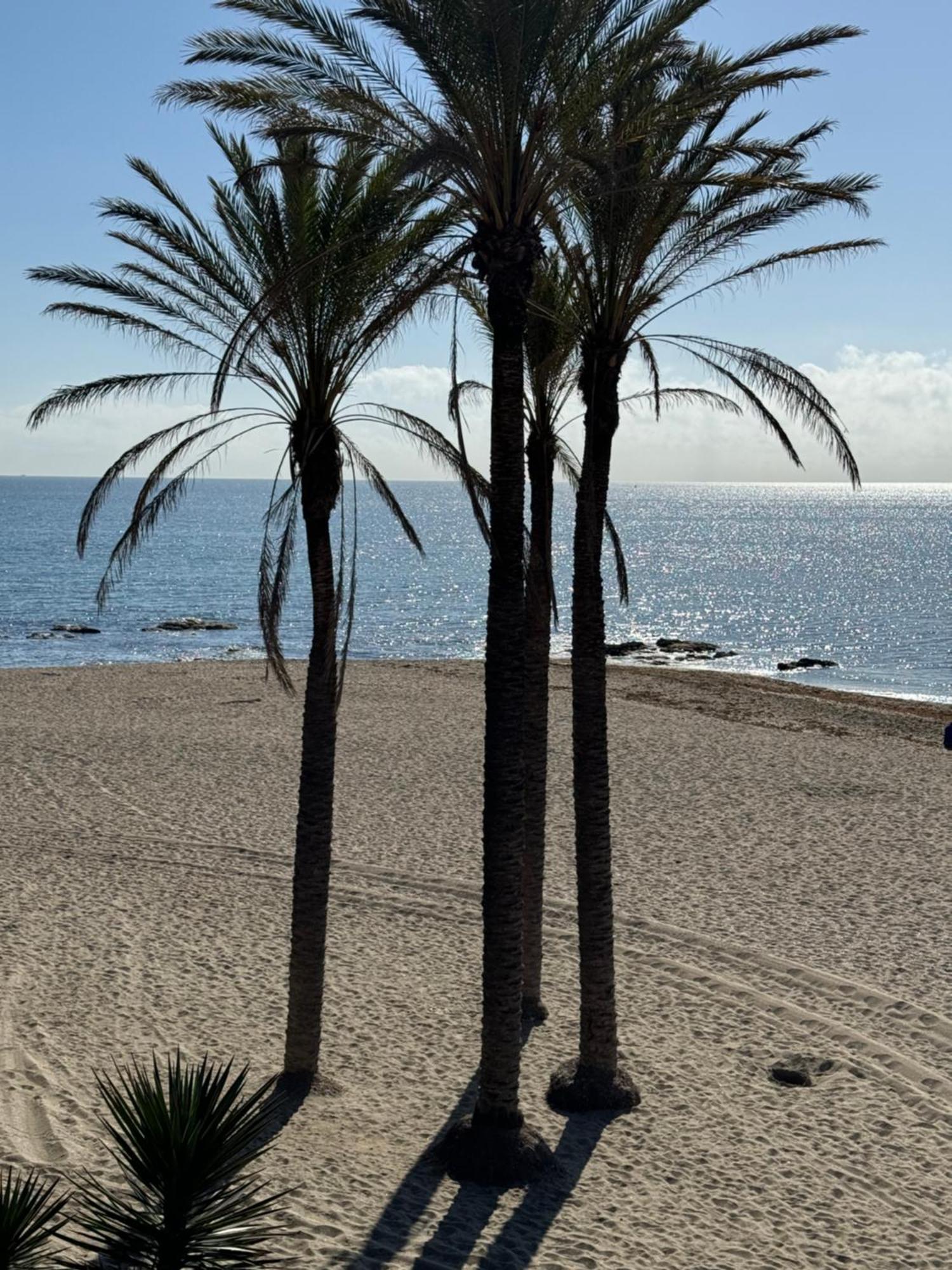Brand New Studio Benalmádena Exteriér fotografie